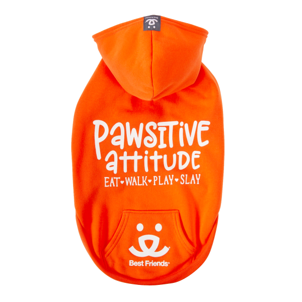 Best Friends Pawsitive Attitude Dog Hoodie - Orange, Small