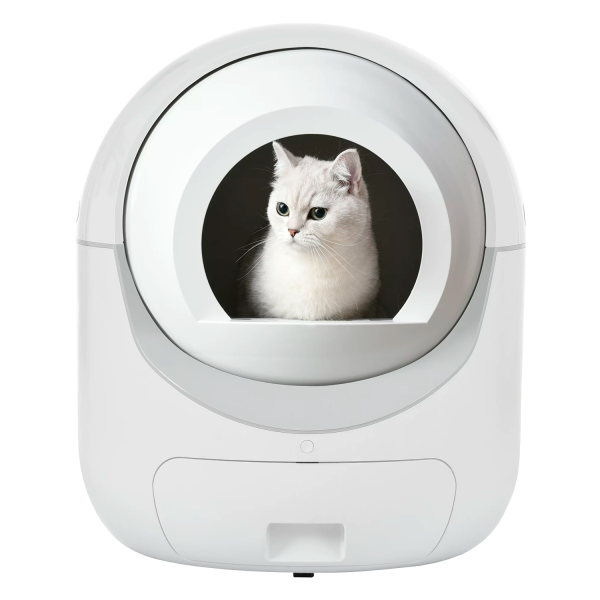 Self Cleaning Litter Boxes in Cat Litter Boxes