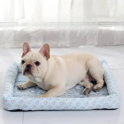 Dog Mat Cooling Sofa Pet Accessories Bed Small Breeds Dogs Blanket Cushions Products Baskets Large Big Cushion Pets Puppy Bed