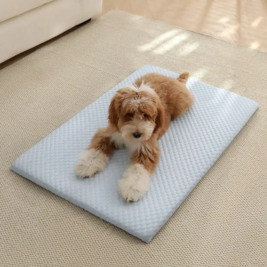 1pc Sponge Cooling Cat Bed, Thick Padding Comfortable Cool Breathable Cat Nest, Non-Slip And Washable Cooling Small Dog Bed,