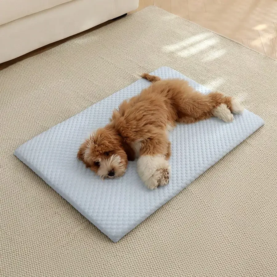 1pc Sponge Cooling Cat Bed, Thick Padding Comfortable Cool Breathable Cat Nest, Non-Slip And Washable Cooling Small Dog Bed,