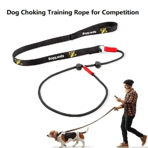 Training Dog Choking Rope Leash 2 in 1 Lead Collar 150cm P-Shaped Chain Slip Lead Control Leash for Small Large Competition D