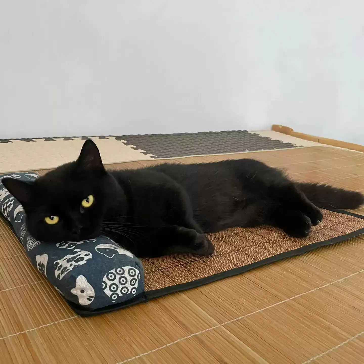 Cat Natural Cooling Mat Summer Pet Self Cooling Pad Cat Bed Mat For Dogs Indoor Rattan Weave Mat Sleeping Cat Bed