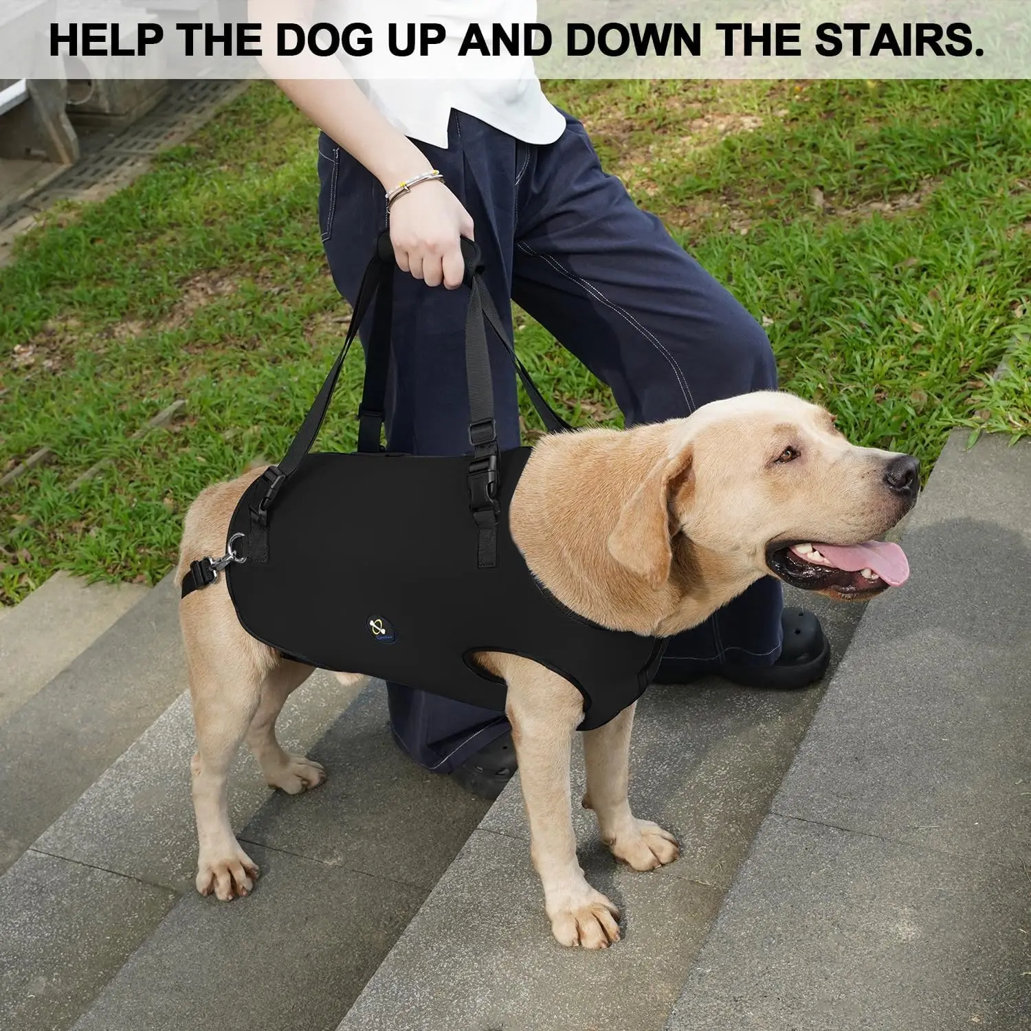 Full Cover Dog Lift Harness, Pet Support & Rehabilitation Sling Breathable Straps for Disabled, Joint Injuries, Arthritis,