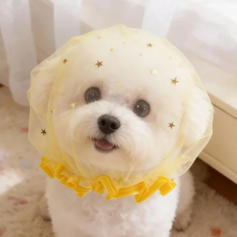 Breathable Mesh Dog Face Net No-Eat Adjustable Quick-Release Dogs Pet Anti-Scavenging Muzzle for Social Gatherings Outdoor