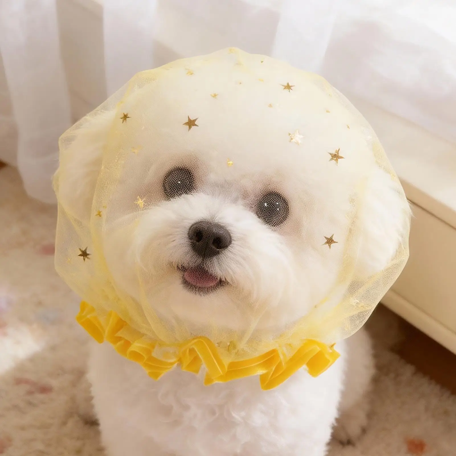 Breathable Mesh Dog Face Net No-Eat Adjustable Quick-Release Dogs Pet Anti-Scavenging Muzzle for Social Gatherings Outdoor