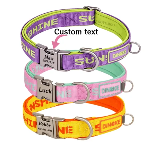 Personalized Dog Collar Leash Bag Colorful Dog Collars Durable Nylon Pet Buckle Necklace With Leashes Soft for Dogs Pug