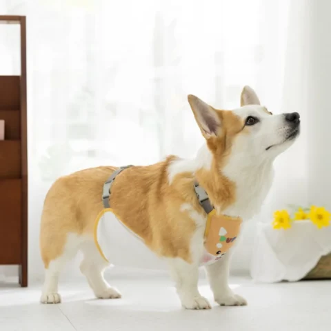 Pets Belly Band Waterproof Corgi Belly Clothes Protective Anti-Dirty Corgi Tummy Apron Breathable Dog Belly Cover French Bull