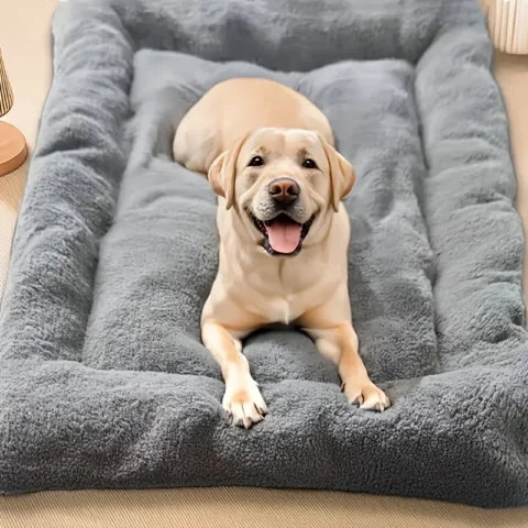 Oversized Plush Dog Cat Bed Sofa Crate Pad Ultra Soft Polyester Pet Mat for All Size Cats Dogs Adorable Rectangle Couch