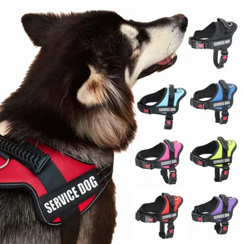 Accept Customise Patches Pet Dog Harness No Pull Reflective Saddle Adjustable Dog Walking For Small Medium And Large Dogs Ves