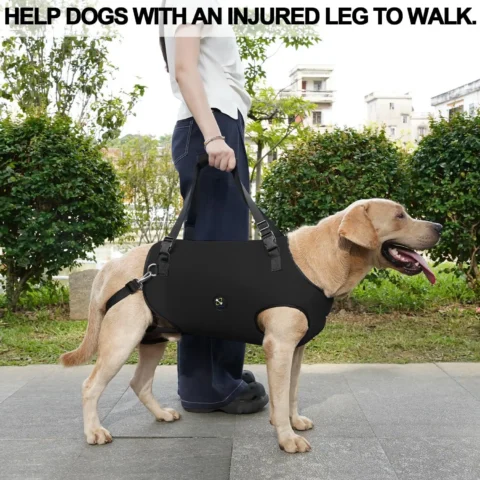 Full Cover Dog Lift Harness, Pet Support & Rehabilitation Sling Breathable Straps for Disabled, Joint Injuries, Arthritis,