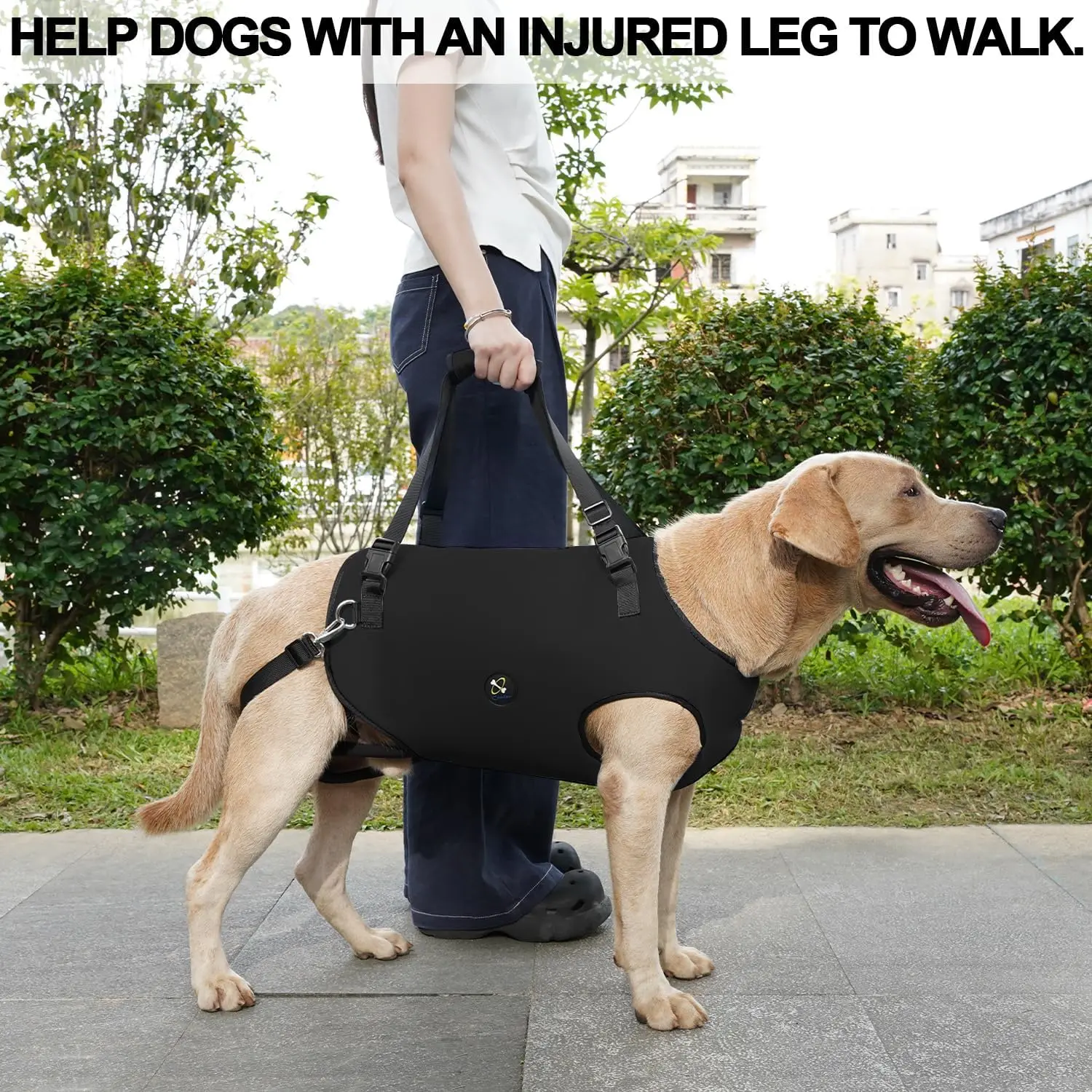 Full Cover Dog Lift Harness, Pet Support & Rehabilitation Sling Breathable Straps for Disabled, Joint Injuries, Arthritis,