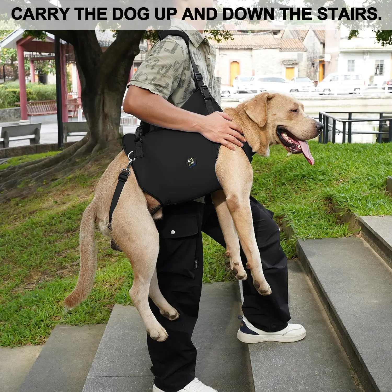 Full Cover Dog Lift Harness, Pet Support & Rehabilitation Sling Breathable Straps for Disabled, Joint Injuries, Arthritis,
