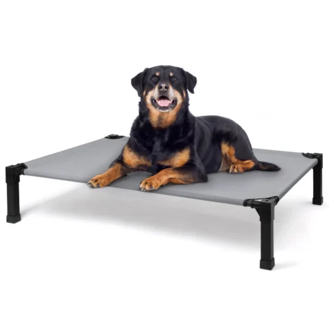 Elevated Dog Bed, Cooling Raised Pet Cot with Chew Proof Washable Breathable Mesh and Metal Frame, Portable Dog Cot Bed