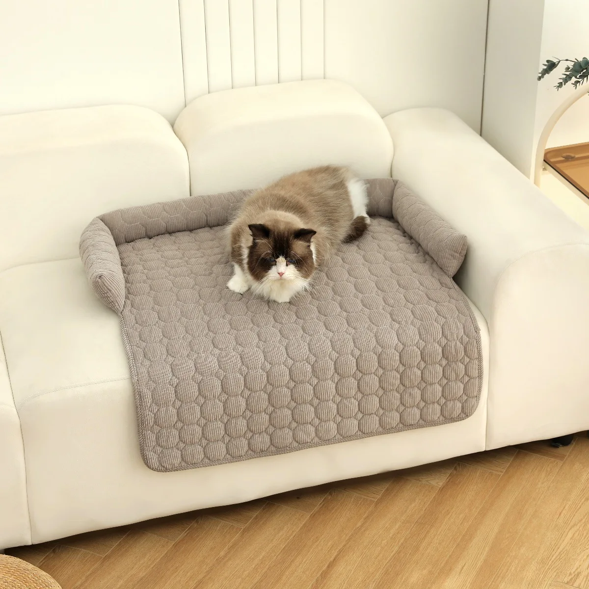 1 Pcs 75x75cm Non-Slip Dog Bed Cover and Pet Blanket Sofa Pet Bed Mat Car Mattress Protectors Furniture Couch Covers Supplies - Image 7