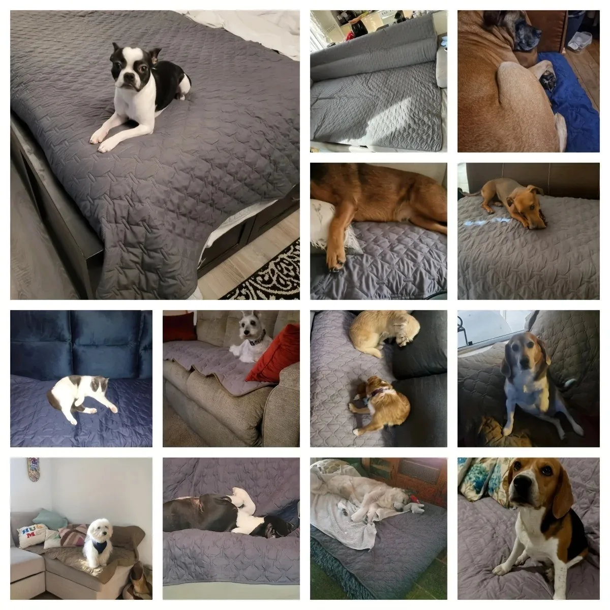 Double-Sided Waterproof Dog Bed Cover Pet Blanket Sofa Couch Furniture Protector Soft Comfortable Cotton Pad for Dogs