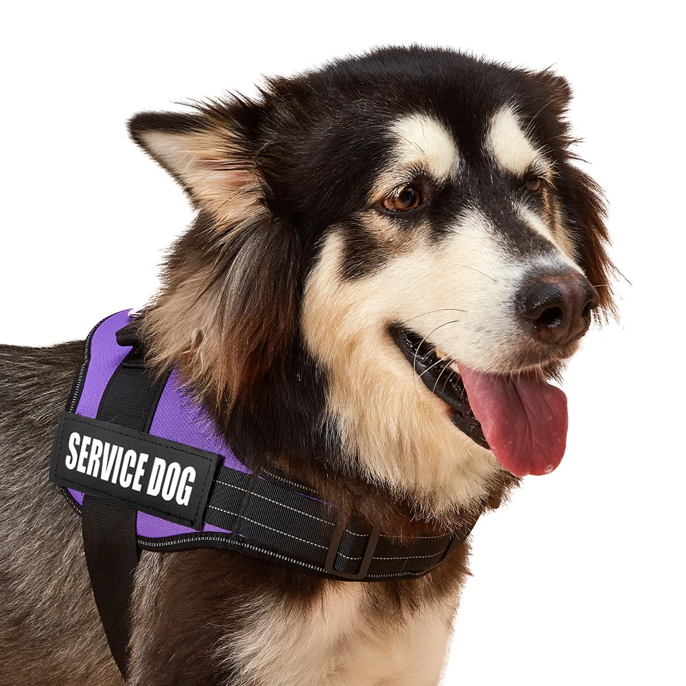 Accept Customise Patches Pet Dog Harness No Pull Reflective Saddle Adjustable Dog Walking For Small Medium And Large Dogs Ves