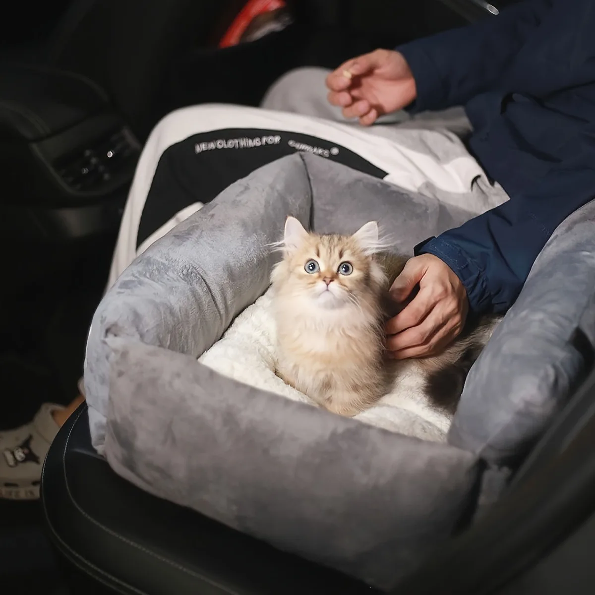 Car Bed Dog Sofa Large Dogs Small Breeds Mat Accessory Supplies Fluffy Pets Products Cushions Big Beds Cats Medium Bad Pet Pu