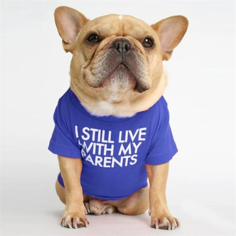 Spring Summer Pet Dog Clothes Round Neck T-shirt for Small Dogs French Bulldog Shiba Inu Puppy Pullovers Letter Print Vest - Image 10