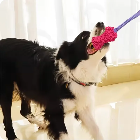 G37 Durable Dog Toys for Aggressive Chewers Soft Plush Pulling Rope Chew Toy with Sturdy Handle, Interactive Teeth Cleaning T