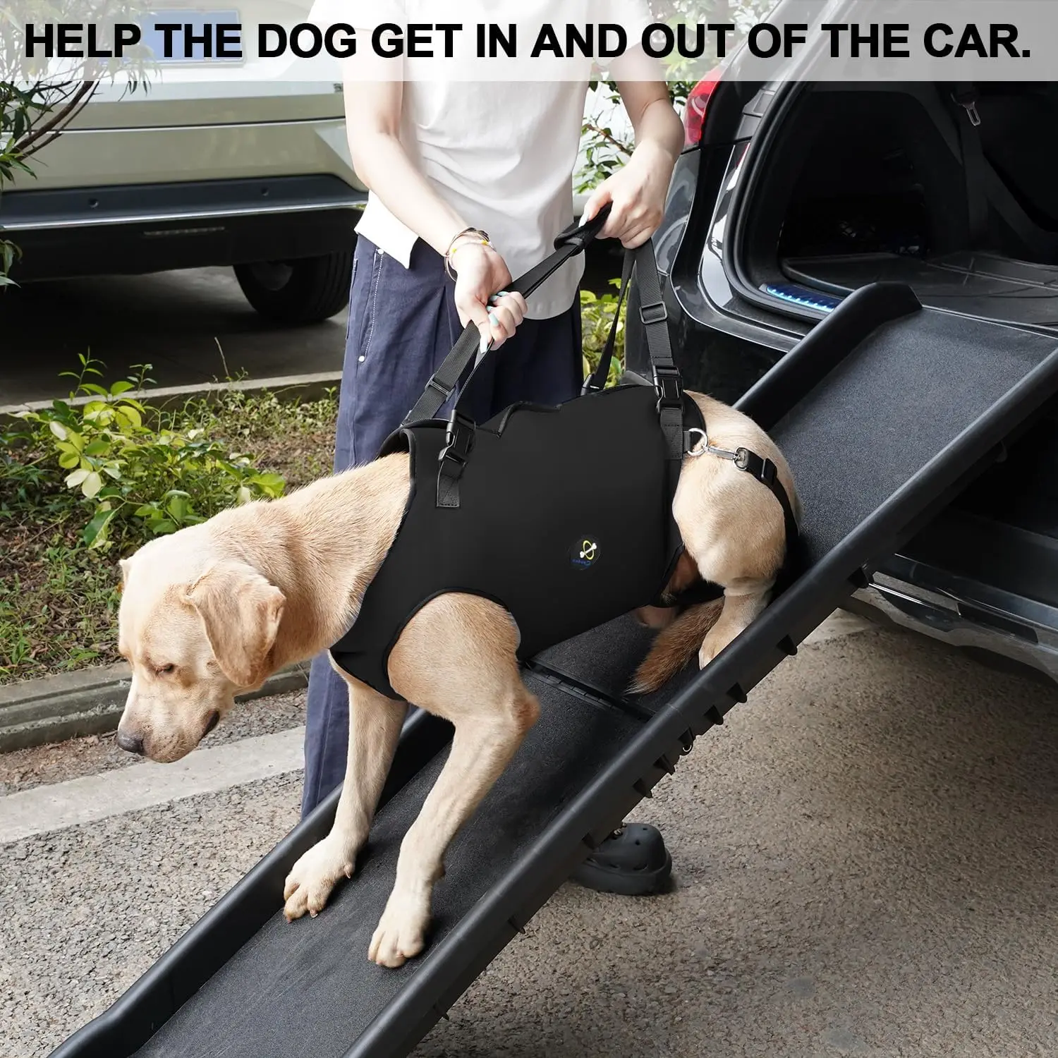 Full Cover Dog Lift Harness, Pet Support & Rehabilitation Sling Breathable Straps for Disabled, Joint Injuries, Arthritis,