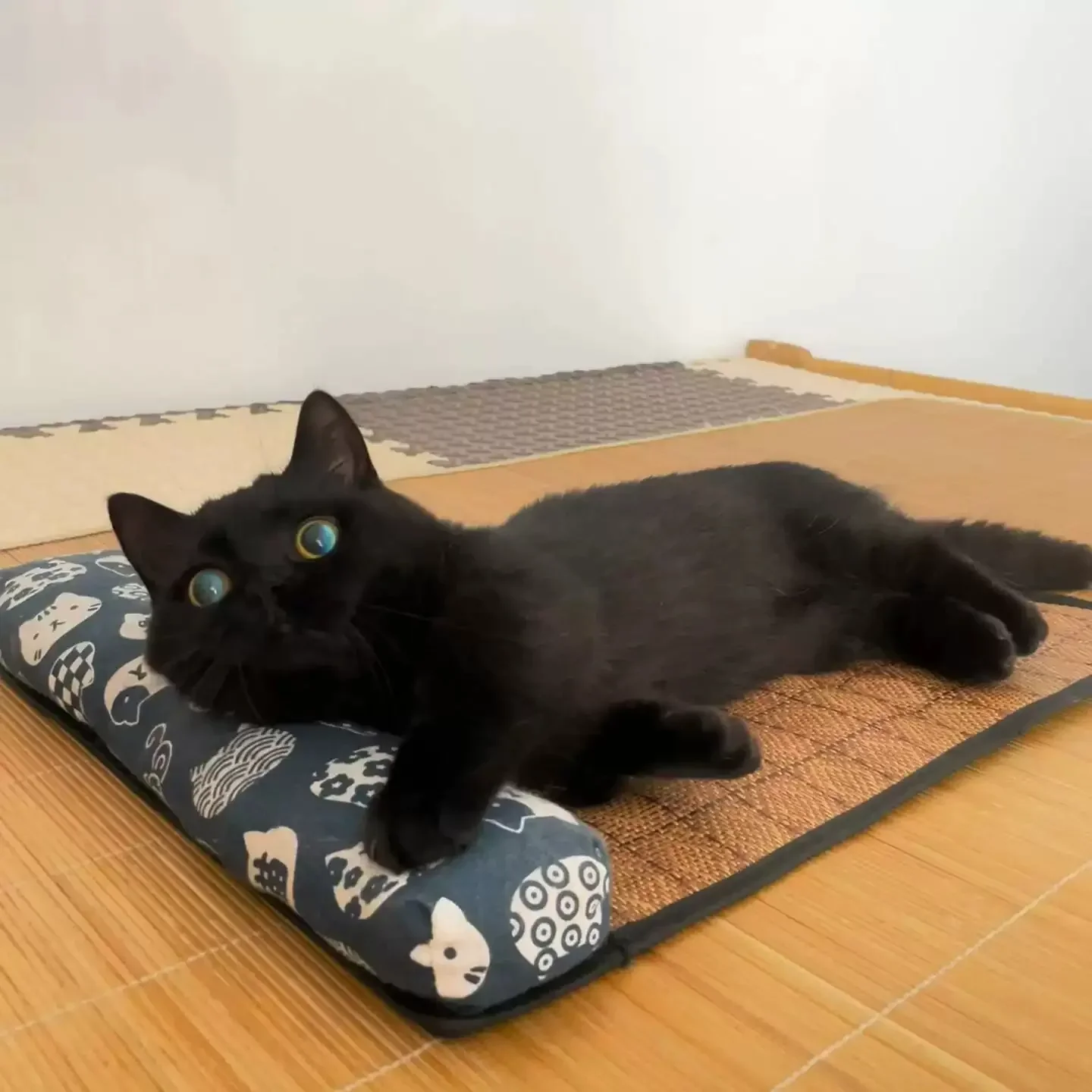 Cat Natural Cooling Mat Summer Pet Self Cooling Pad Cat Bed Mat For Dogs Indoor Rattan Weave Mat Sleeping Cat Bed
