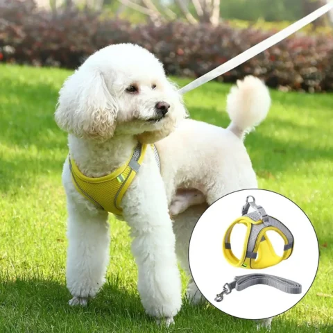 Small Dog Harness with Leash Set Anti Escape Vest Harness for French Bulldog Puggle Terrier Walking Training Pet Supplies