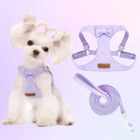 Trendy Premium Suede Dog Harness Leash Set -Small Dog Adjustable Pet Chest Strap Soft Durable Puppy Kitten Fashion Accessorie