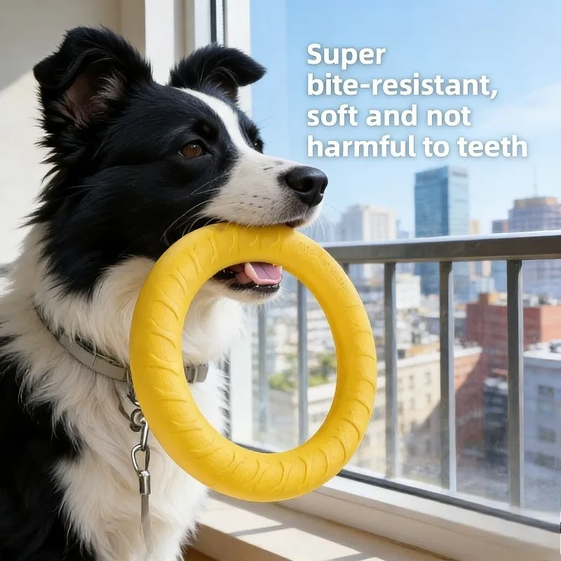 Dog toy - Large breed dog ring frisbee, Border Collie, vocal, tension ring, teething, durable, fun toy for pets,Christmas gif