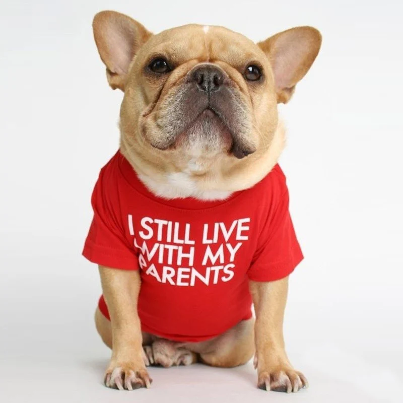 Spring Summer Pet Dog Clothes Round Neck T-shirt for Small Dogs French Bulldog Shiba Inu Puppy Pullovers Letter Print Vest - Image 18
