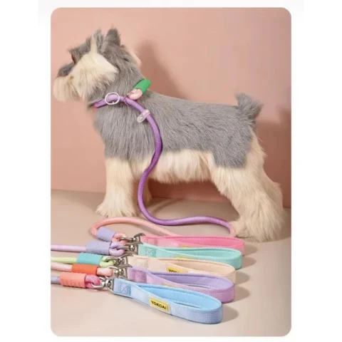 Dog Leash Anti-Tangle Pet Traction Rope for Medium to Large Dogs Polyester Material Non-Stretch Explosive Proof
