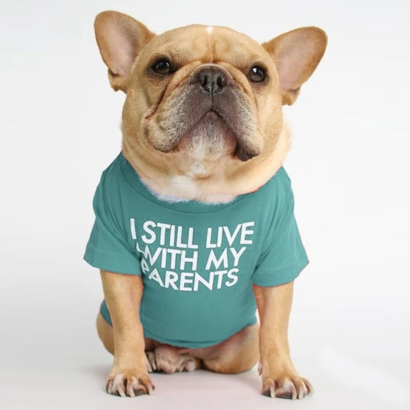 Spring Summer Pet Dog Clothes Round Neck T-shirt for Small Dogs French Bulldog Shiba Inu Puppy Pullovers Letter Print Vest - Image 7