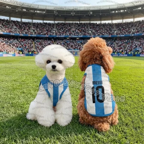Summer Dog Clothes Argentina NO.10 FLAG print Basketball Clothes Puppy T-Shirt Summer Pet Cat Shirts For soccer fans Dogs