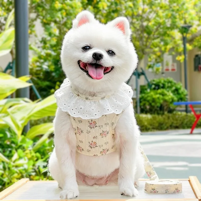 Sweet Lace Dog Harness with Rope Floral Print Pet Plaid Vest Fashion Puppy Jacket Summer Mesh Cat Harness Walking Pet Supplie