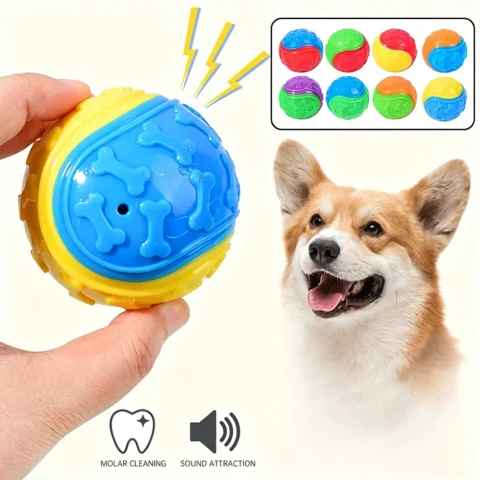 New Squeaky Balls for Dogs Interactive Toys TPR Dog Chew Toy Pet Voice Ball Teeth Cleaning Bite Resistance Dog Training Suppl
