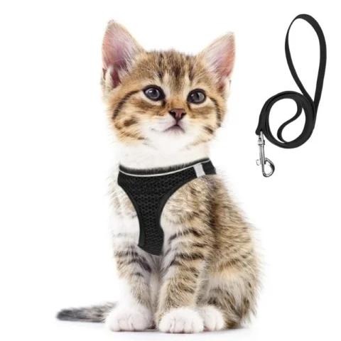 Cat Dog Harness with Lead Leash Adjustable Vest Polyester Mesh Breathable Harnesses Reflective Sti for Small Dog Cat Accessor