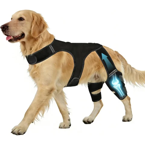 Dog Knee Braces for Back Leg,Knee Support for Dogs ACL/CCL Care Ideal for Dog Back Seat,Double Leg Stability For Puppy Recove