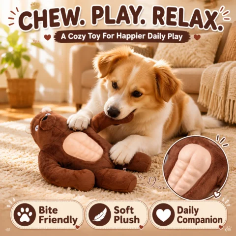 Squeaky Muscle Bear Dog Toy Plush Interactive Chew Toy Natural Rubber Belly Built in Squeaker for Small Medium Large Dogs Pla