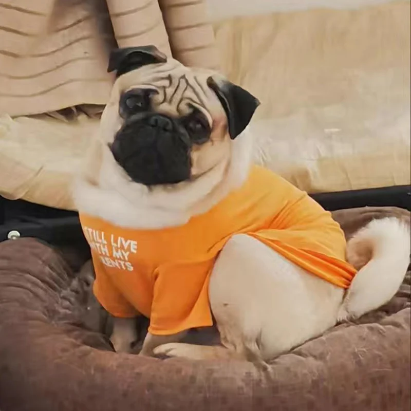 Spring Summer Pet Dog Clothes Round Neck T-shirt for Small Dogs French Bulldog Shiba Inu Puppy Pullovers Letter Print Vest