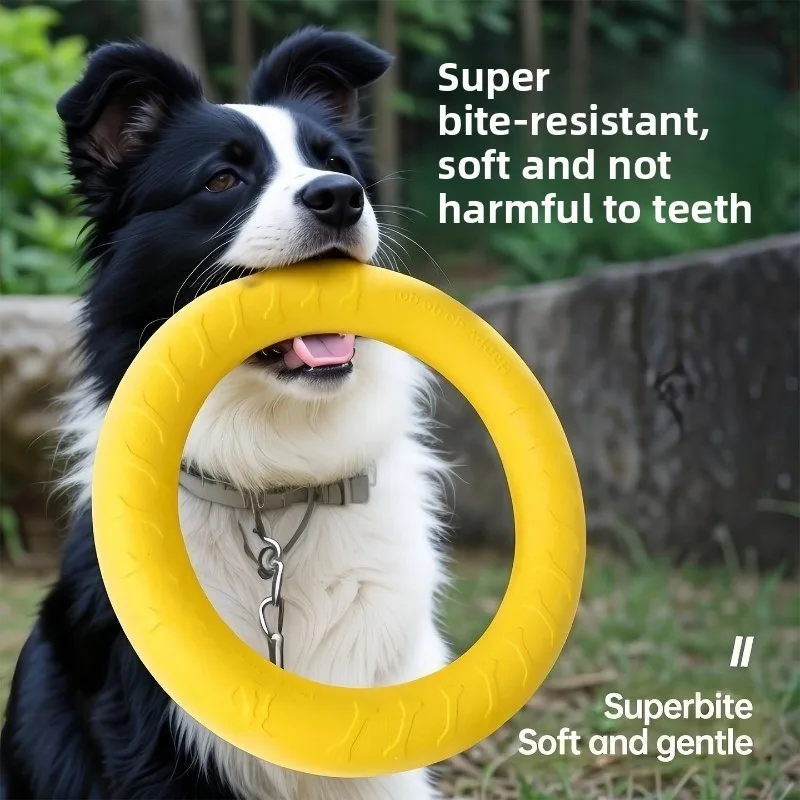Dog toy - Large breed dog ring frisbee, Border Collie, vocal, tension ring, teething, durable, fun toy for pets,Christmas gift - Image 2