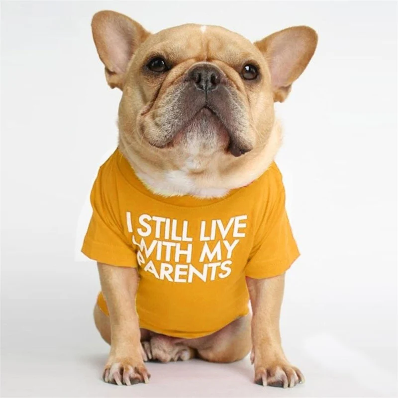 Spring Summer Pet Dog Clothes Round Neck T-shirt for Small Dogs French Bulldog Shiba Inu Puppy Pullovers Letter Print Vest - Image 9