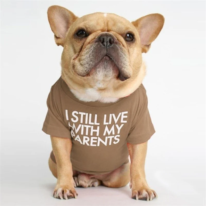 Spring Summer Pet Dog Clothes Round Neck T-shirt for Small Dogs French Bulldog Shiba Inu Puppy Pullovers Letter Print Vest - Image 8