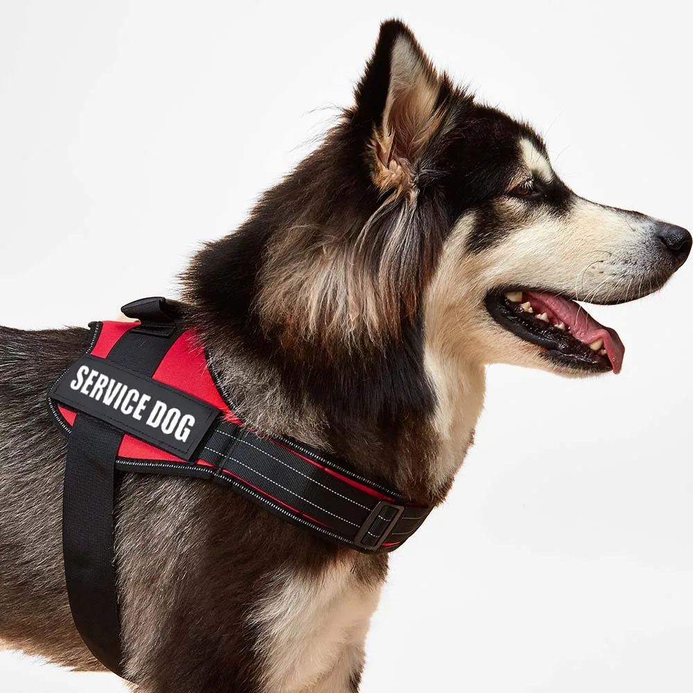Accept Customise Patches Pet Dog Harness No Pull Reflective Saddle Adjustable Dog Walking For Small Medium And Large Dogs Ves