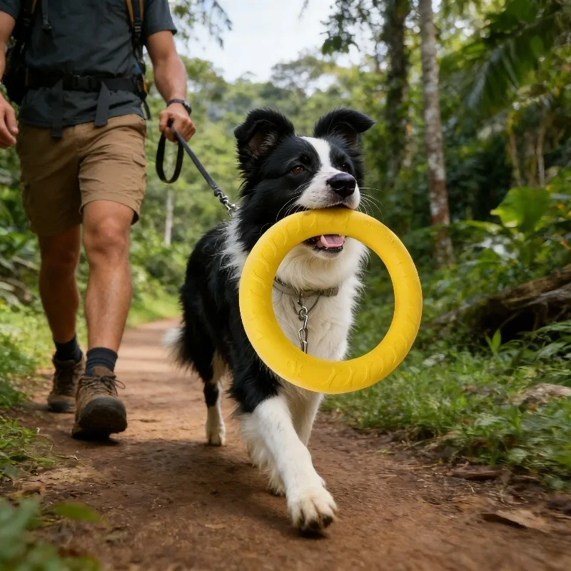 Dog toy - Large breed dog ring frisbee, Border Collie, vocal, tension ring, teething, durable, fun toy for pets,Christmas gif