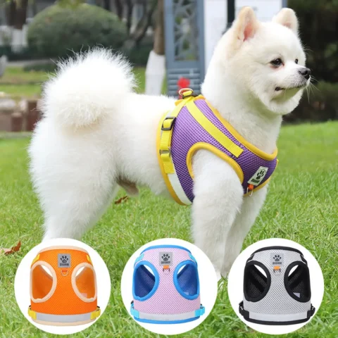 Summer Breathable Mesh Pet Harness & Leash Set - Reflective Vest for Dogs Cats, Adjustable Comfort Safety Chest Strap