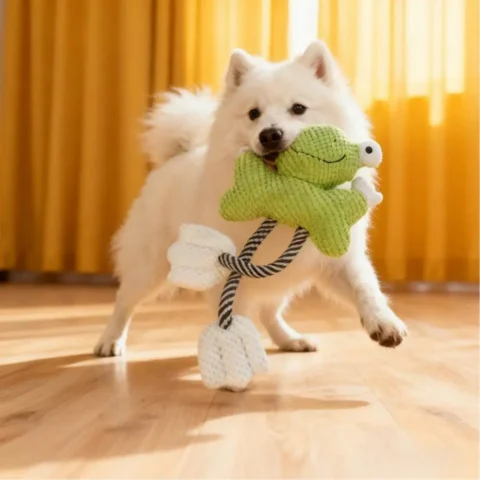 Durable Cartoon Frog Dog Chew Toy With Built-in Squeaker Multi-size Puppy Tugging Play Supplies for Daily Teeth Care Interact