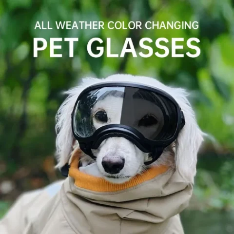 Color changing pet glasses, dog goggles, size dog sunglasses, snow glasses, UV resistant dog sunglasses
