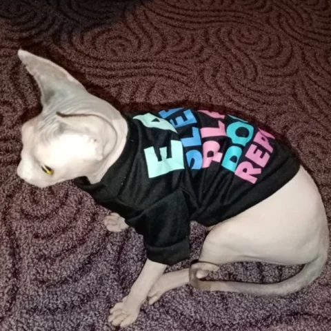 Fashion Print Cat Puppy T-shirt Vest Cozy Cotton Summer Pet Clothes for Cats Small Dogs Sphynx Ragdoll Kitten Clothing ropa g