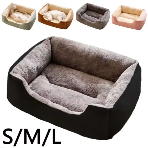 Bed for Cats Pet Products Cushions Kitten Goods Accessories Dog All Houses Supplies Things Accessory Habitats Basket House Be