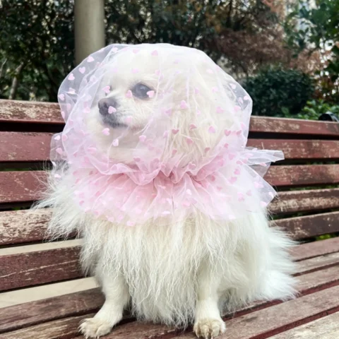 4pcs Dog Head Net Adjustable Anti-Pickup Mesh Cover Dog Face Net For Cat Puppy Outdoor Walking Home Indoor
